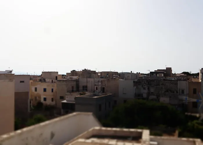 Ajamola '800